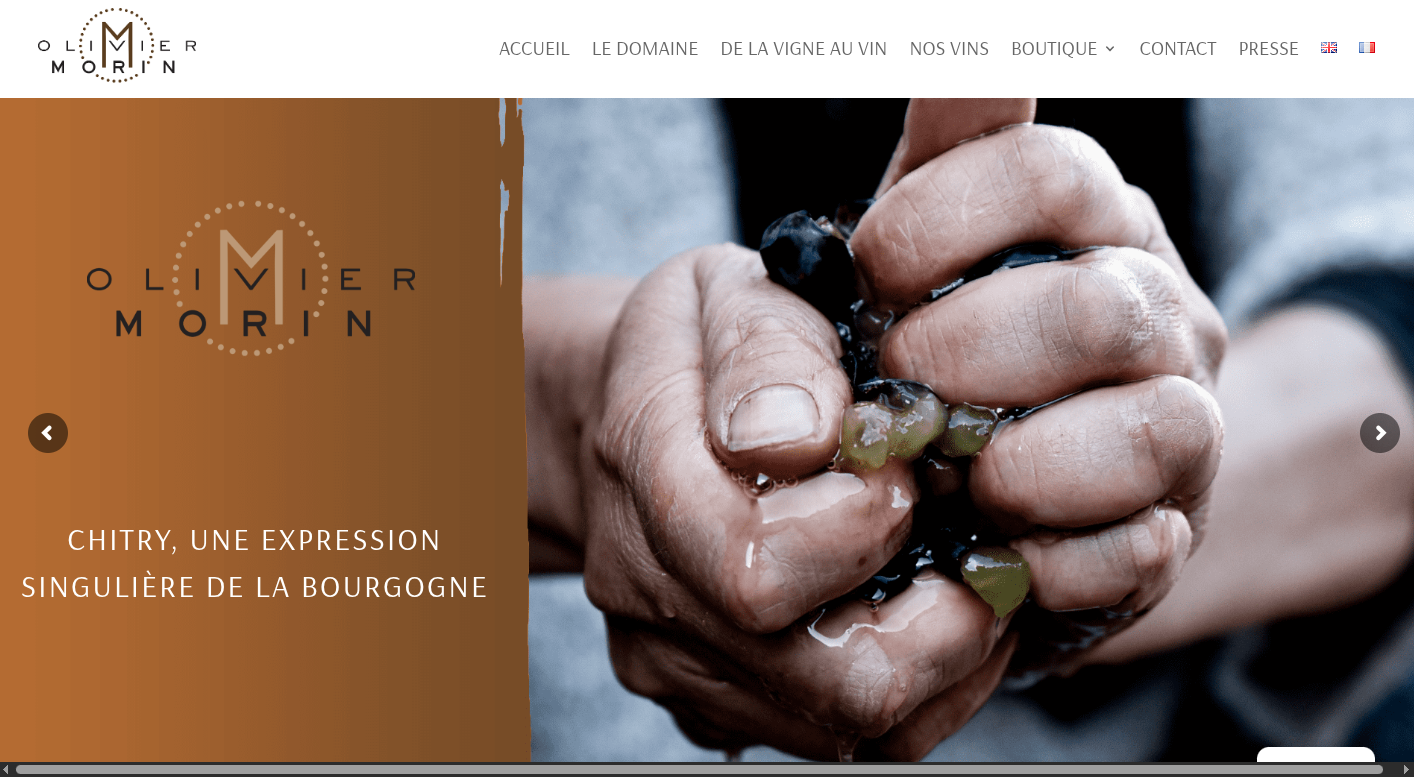 Olivier Morin - Site Boutique