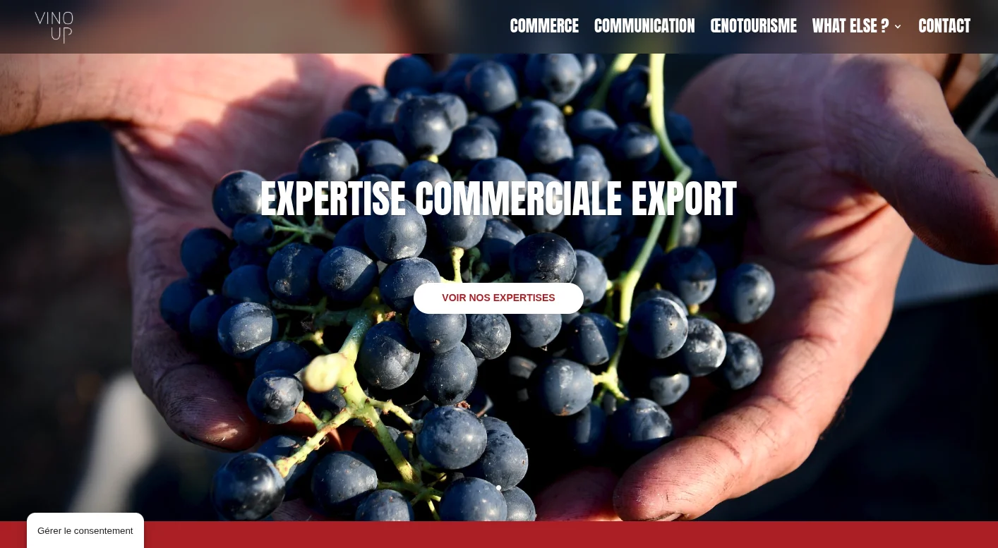 Capture d'écran — Refonte du site Vino Up